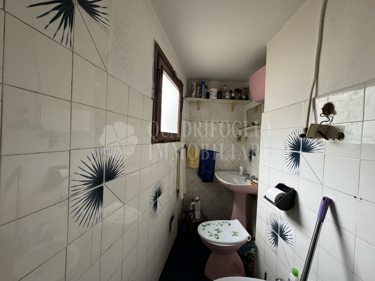Foto sito Canepina via roma tomasi VIT14-CvSQ Canepina, Centro Storico – Via Roma