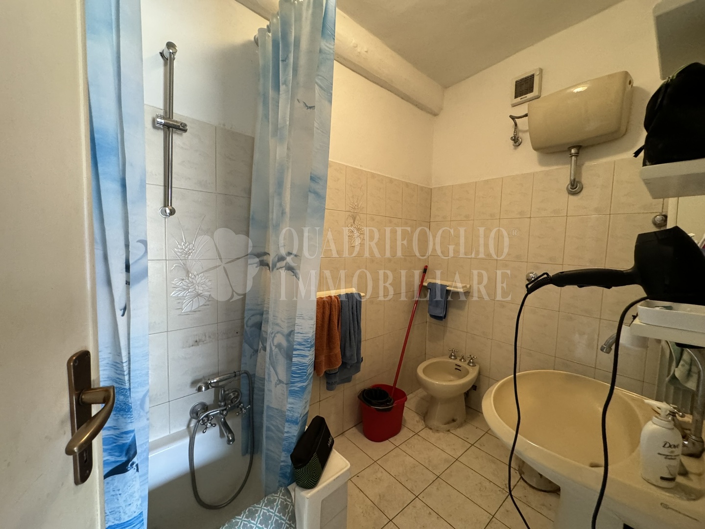 Foto sito Canepina via roma tomasi VIT23-CvSQ Canepina, Centro Storico – Via Roma