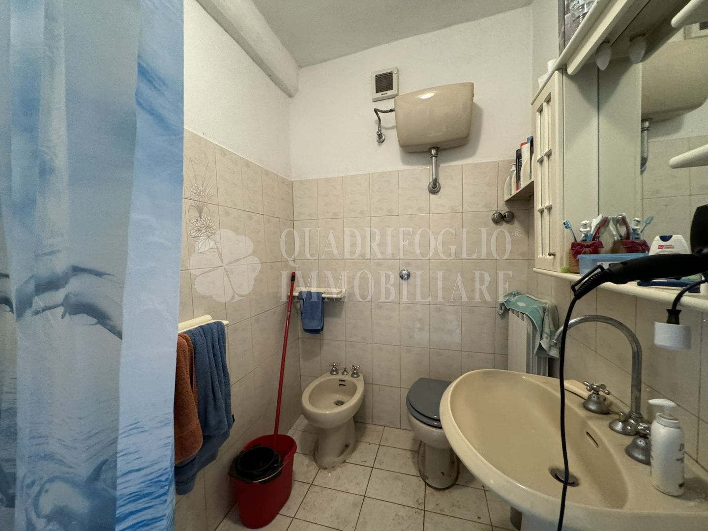 Foto sito Canepina via roma tomasi VIT24-CvSQ Canepina, Centro Storico – Via Roma