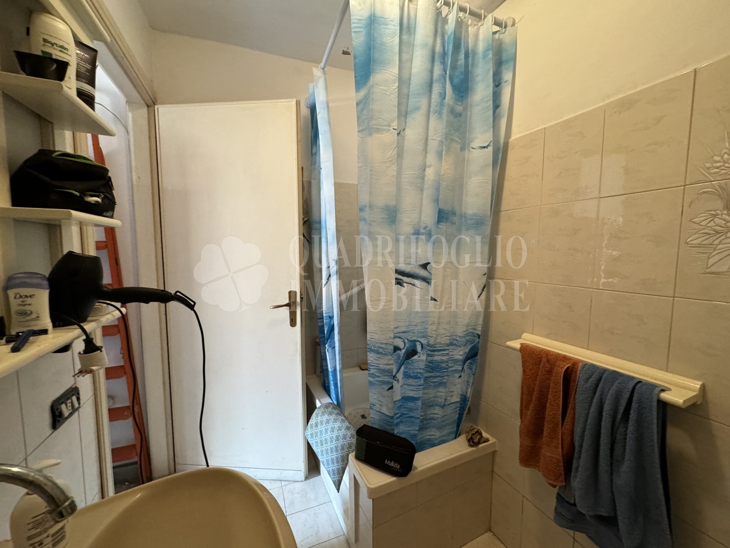 Foto sito Canepina via roma tomasi VIT25-CvSQ Canepina, Centro Storico – Via Roma