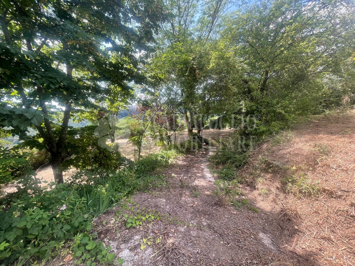 Roma, Castelnuovo di Porto – Via di Valle Ioro