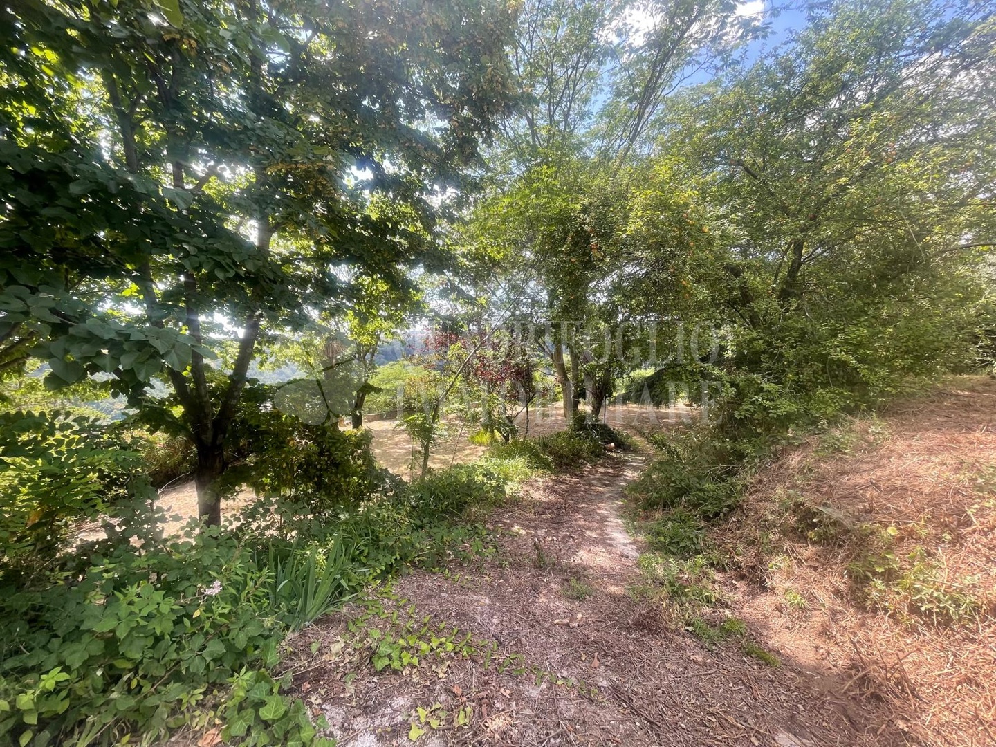 Roma, Castelnuovo di Porto – Via di Valle Ioro
