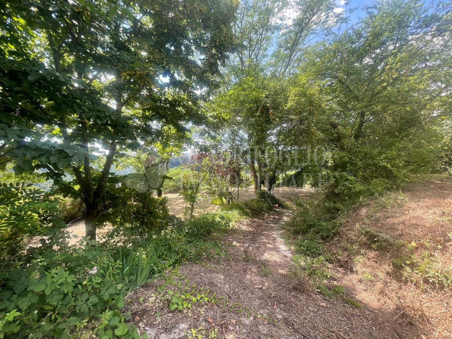 Roma, Castelnuovo di Porto – Via di Valle Ioro