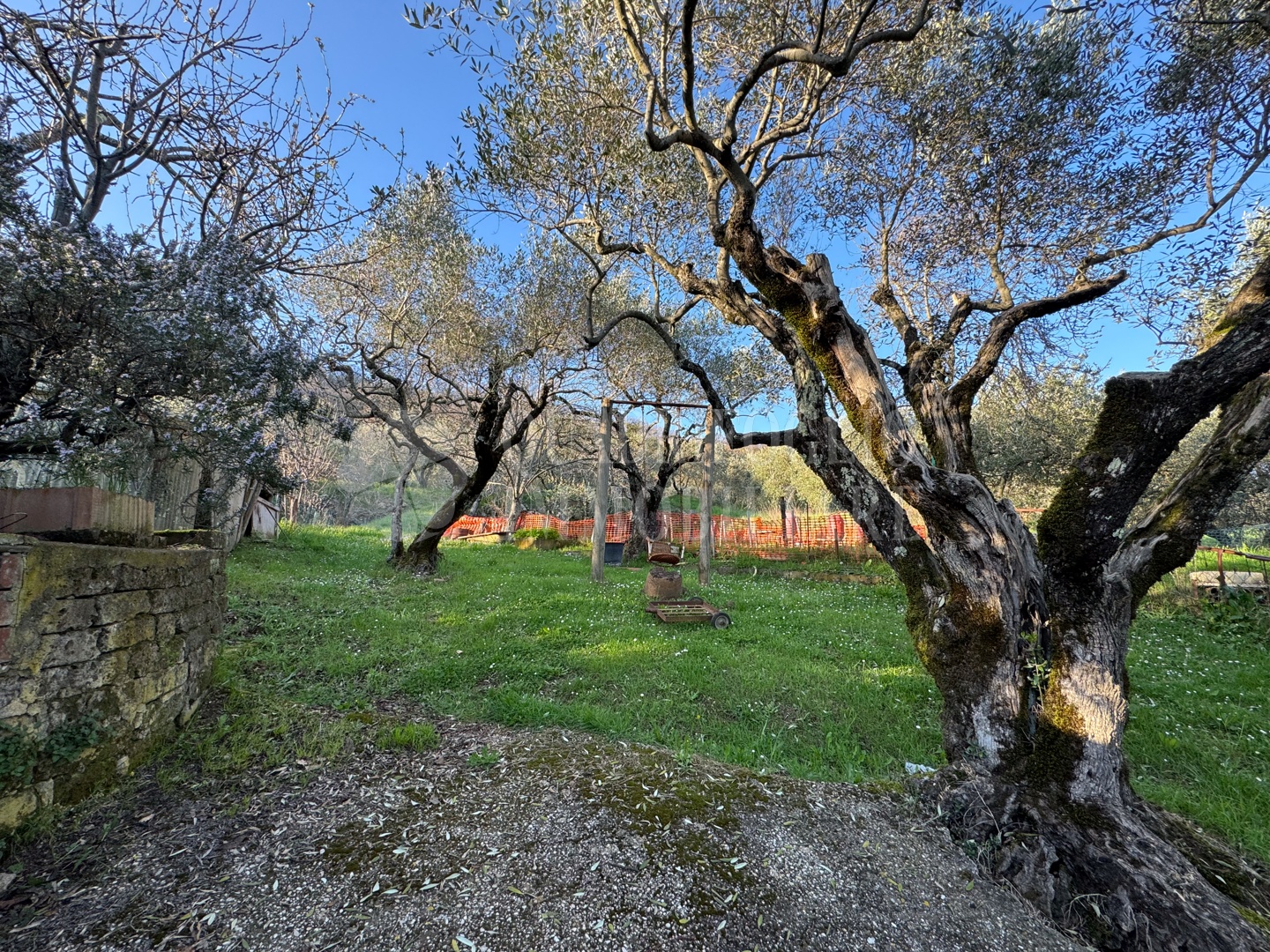 Canepina, Località Pietra del Corvo