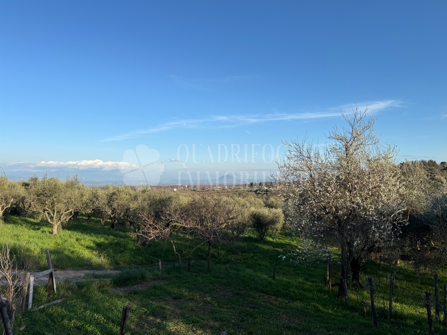 Canepina, Località Pietra del Corvo