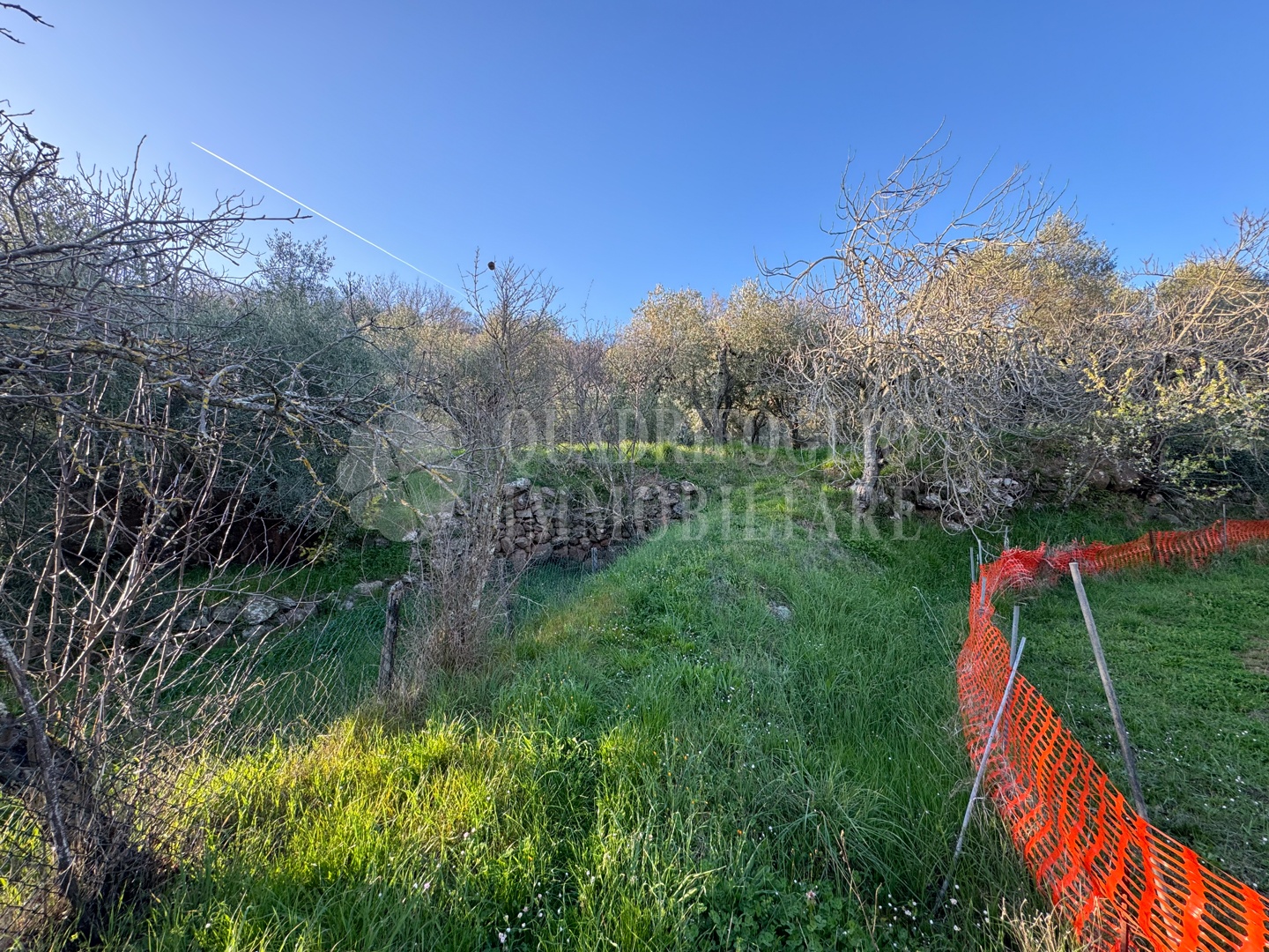 Canepina, Località Pietra del Corvo