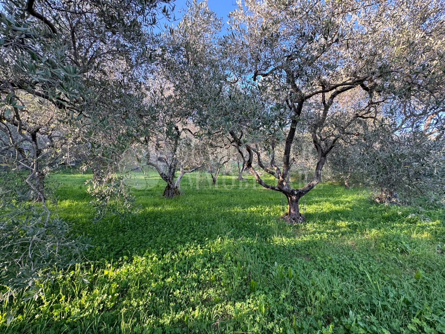 Canepina, Località Pietra del Corvo