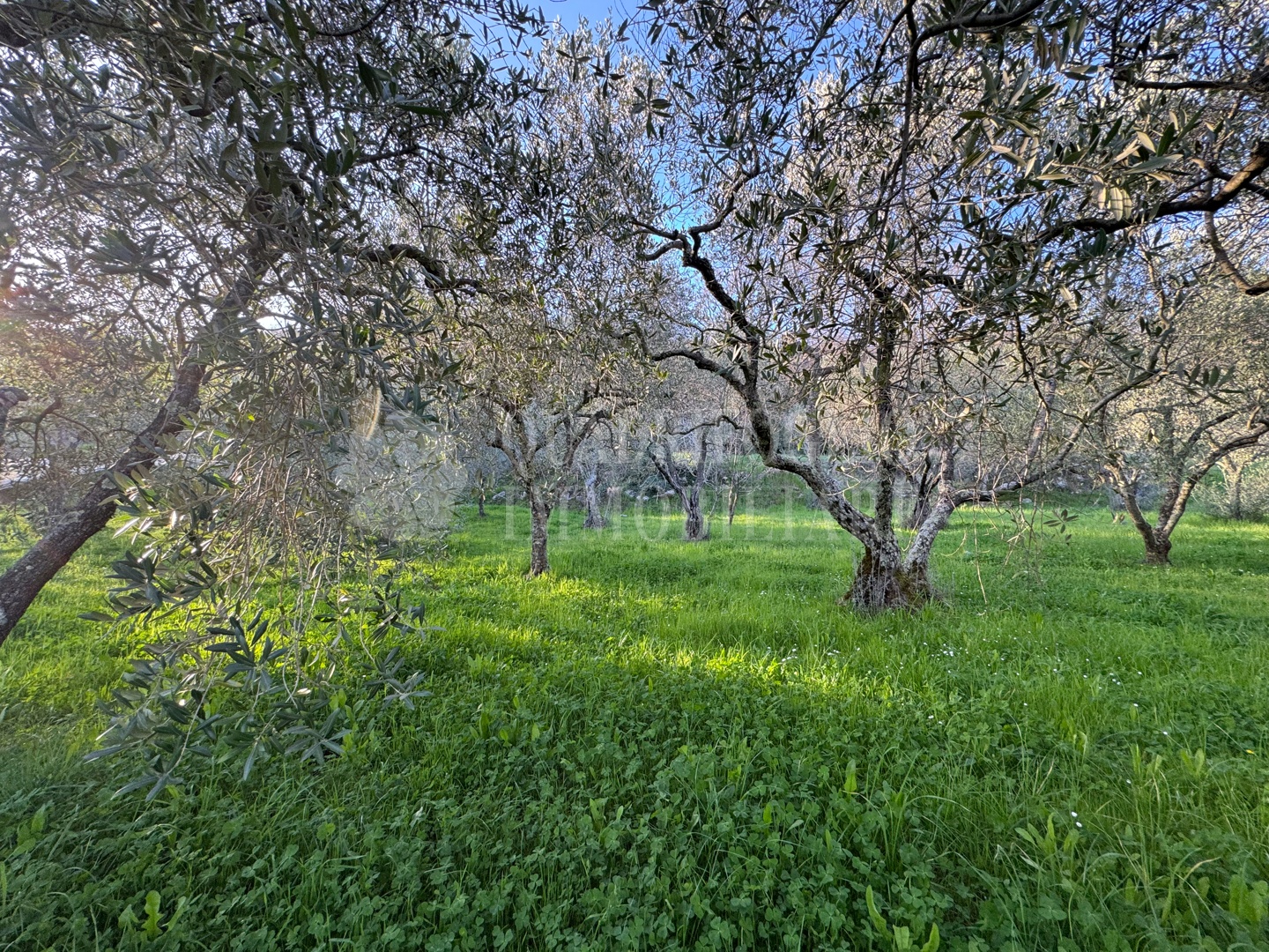 Canepina, Località Pietra del Corvo