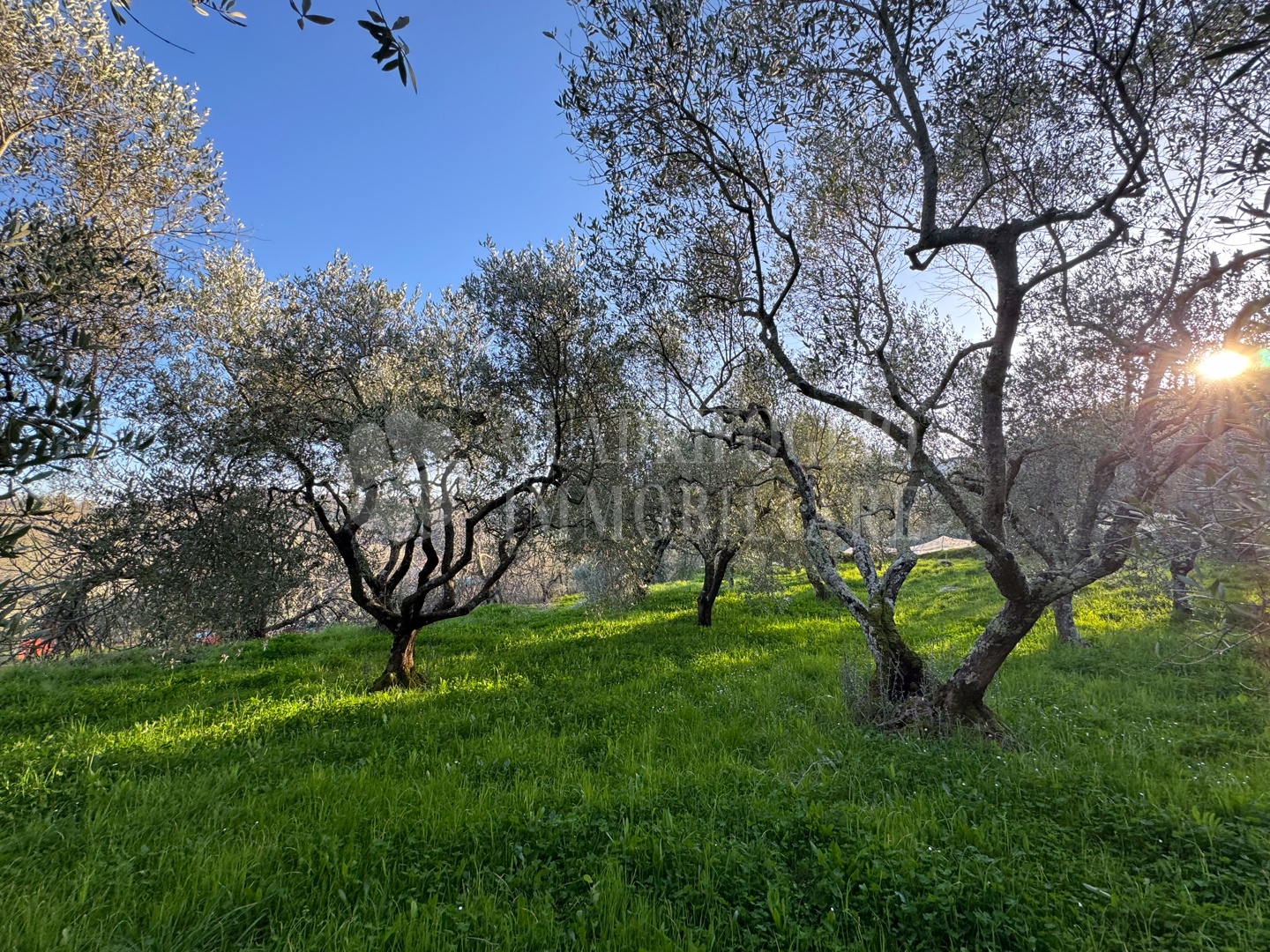 Canepina, Località Pietra del Corvo