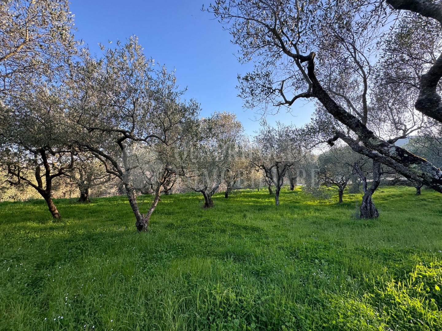 Canepina, Località Pietra del Corvo