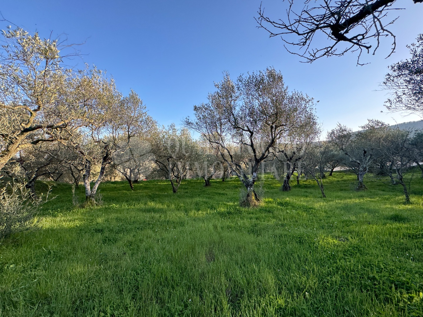 Canepina, Località Pietra del Corvo
