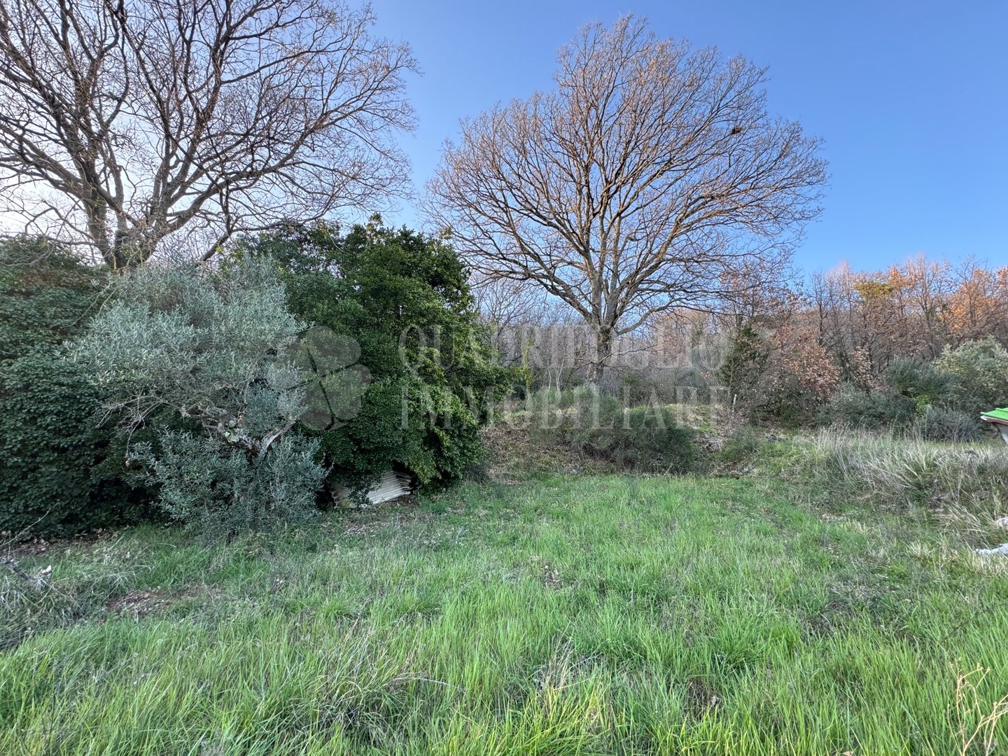 Canepina, Località Pietra del Corvo