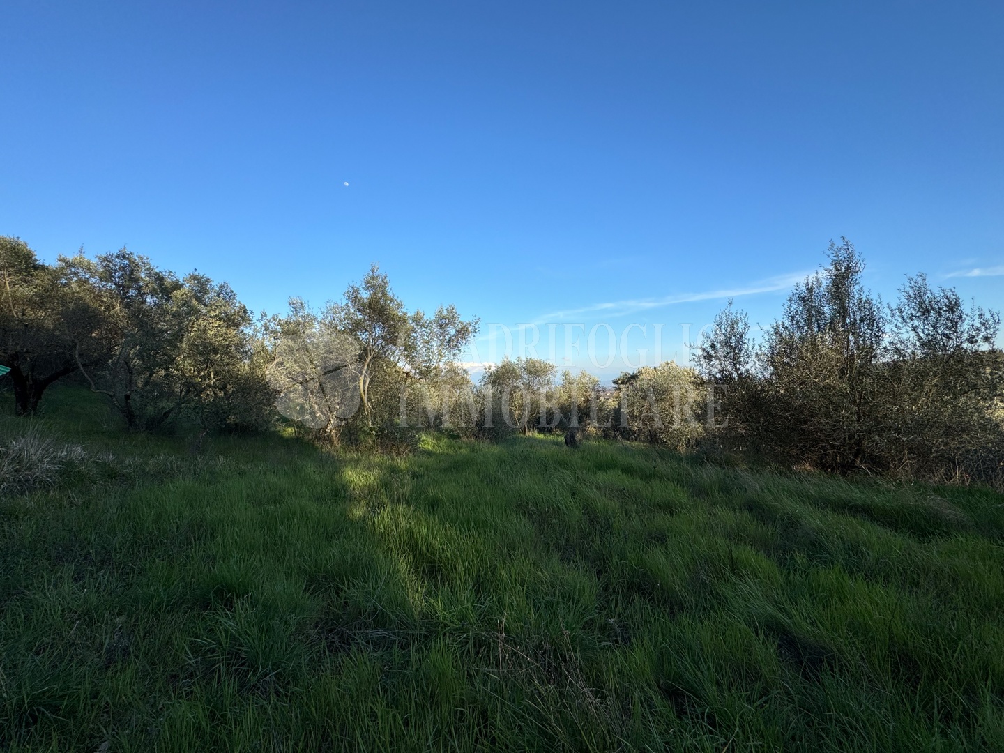 Canepina, Località Pietra del Corvo