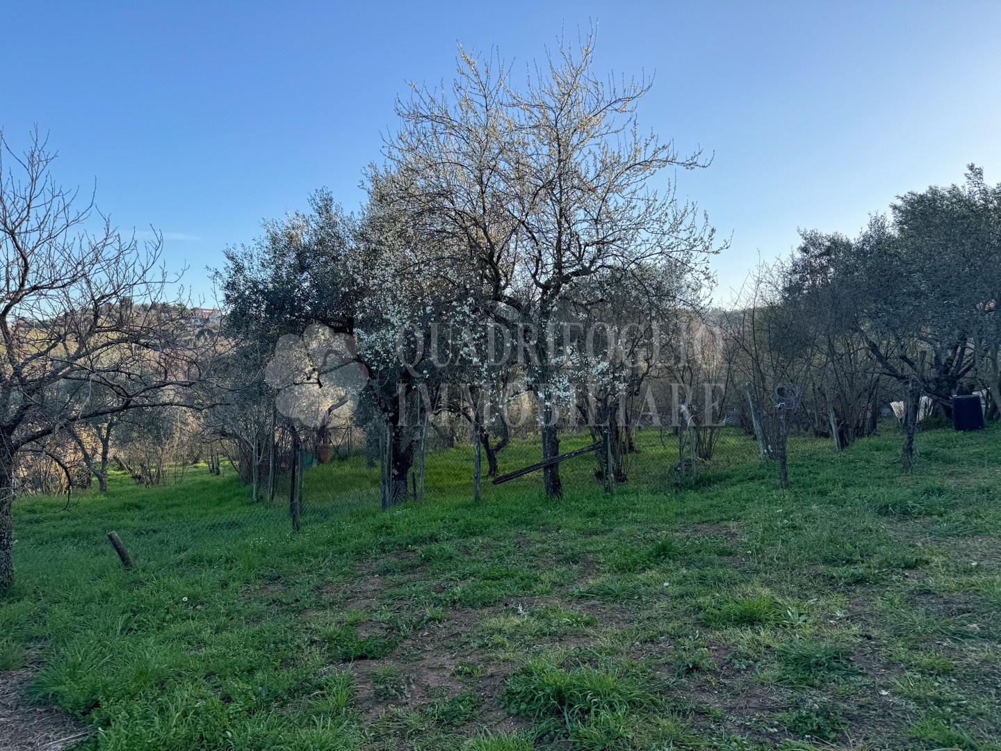 Canepina, Località Pietra del Corvo