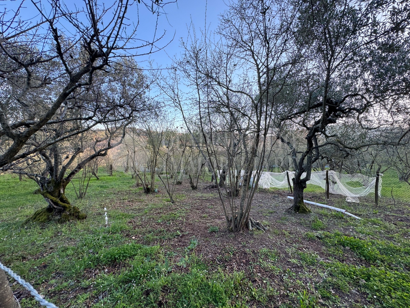 Canepina, Località Pietra del Corvo
