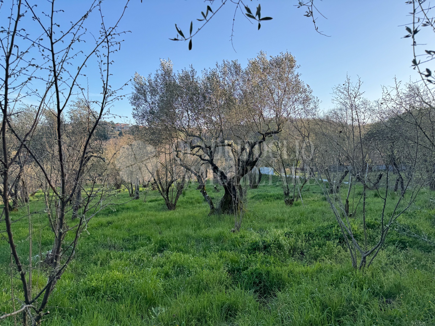 Canepina, Località Pietra del Corvo