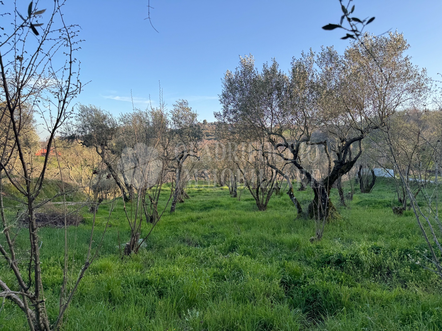 Canepina, Località Pietra del Corvo