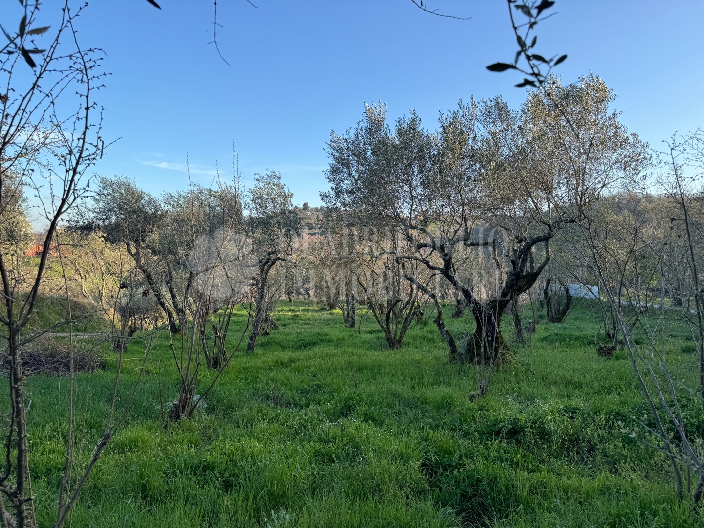 Canepina, Località Pietra del Corvo