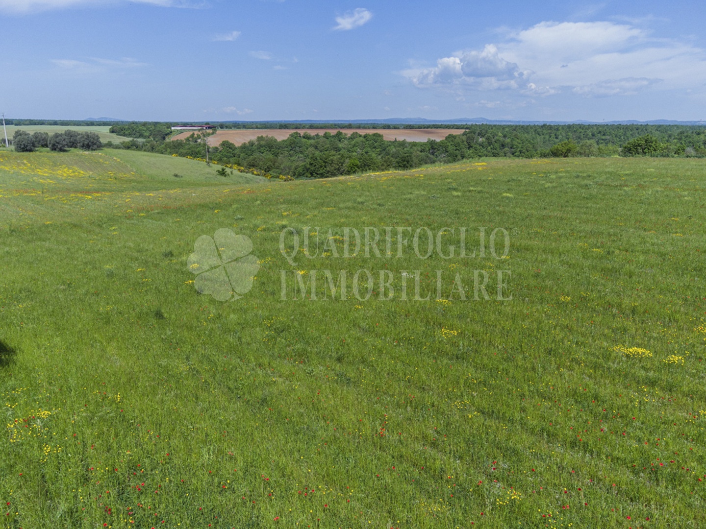 FOTO SITO – Viterbo – terreno GIOVE srl VIT01-28jJ Viterbo, Strada Provinciale Vetrallese