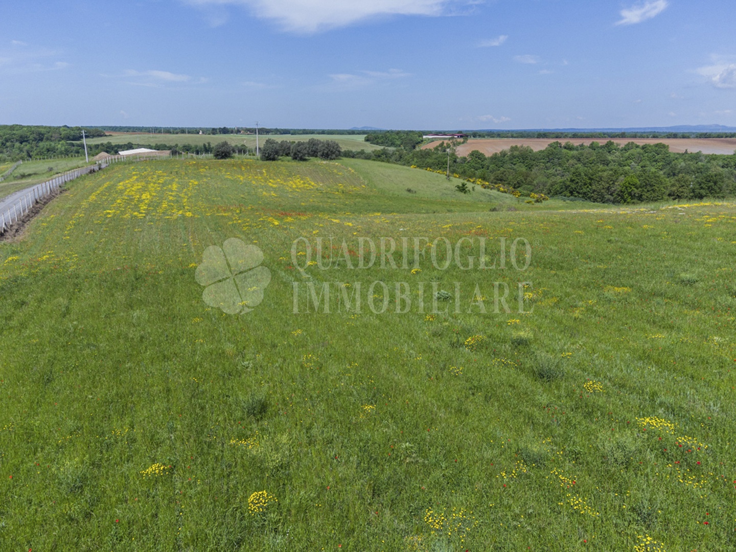 FOTO SITO – Viterbo – terreno GIOVE srl VIT02-28jJ Viterbo, Strada Provinciale Vetrallese