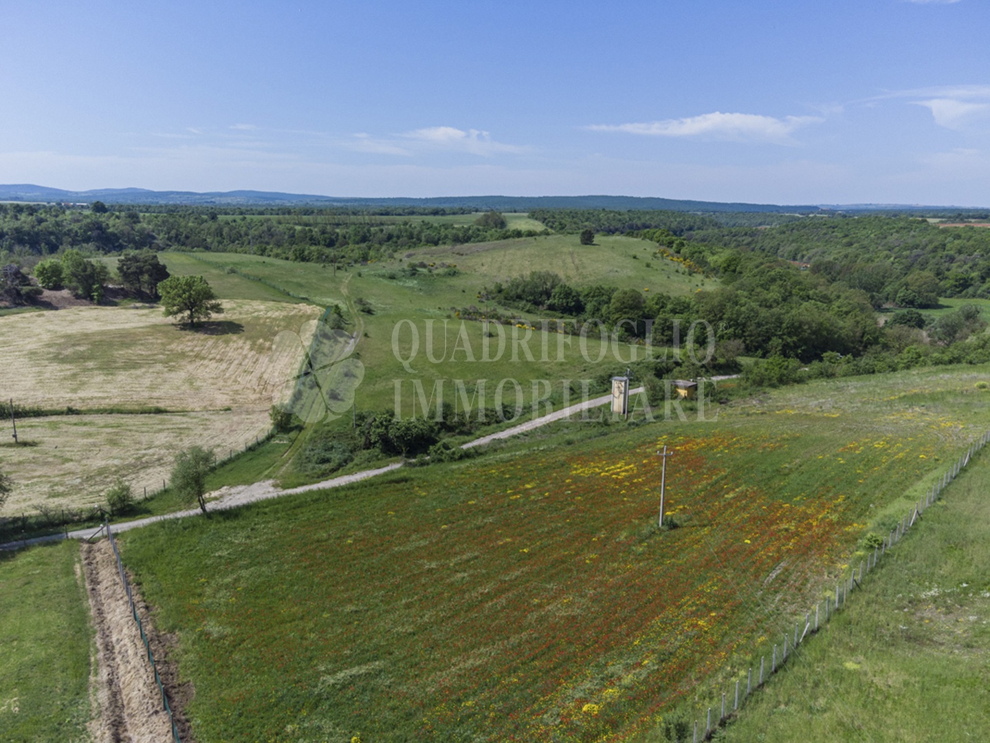 FOTO SITO – Viterbo – terreno GIOVE srl VIT04-28jJ Viterbo, Strada Provinciale Vetrallese