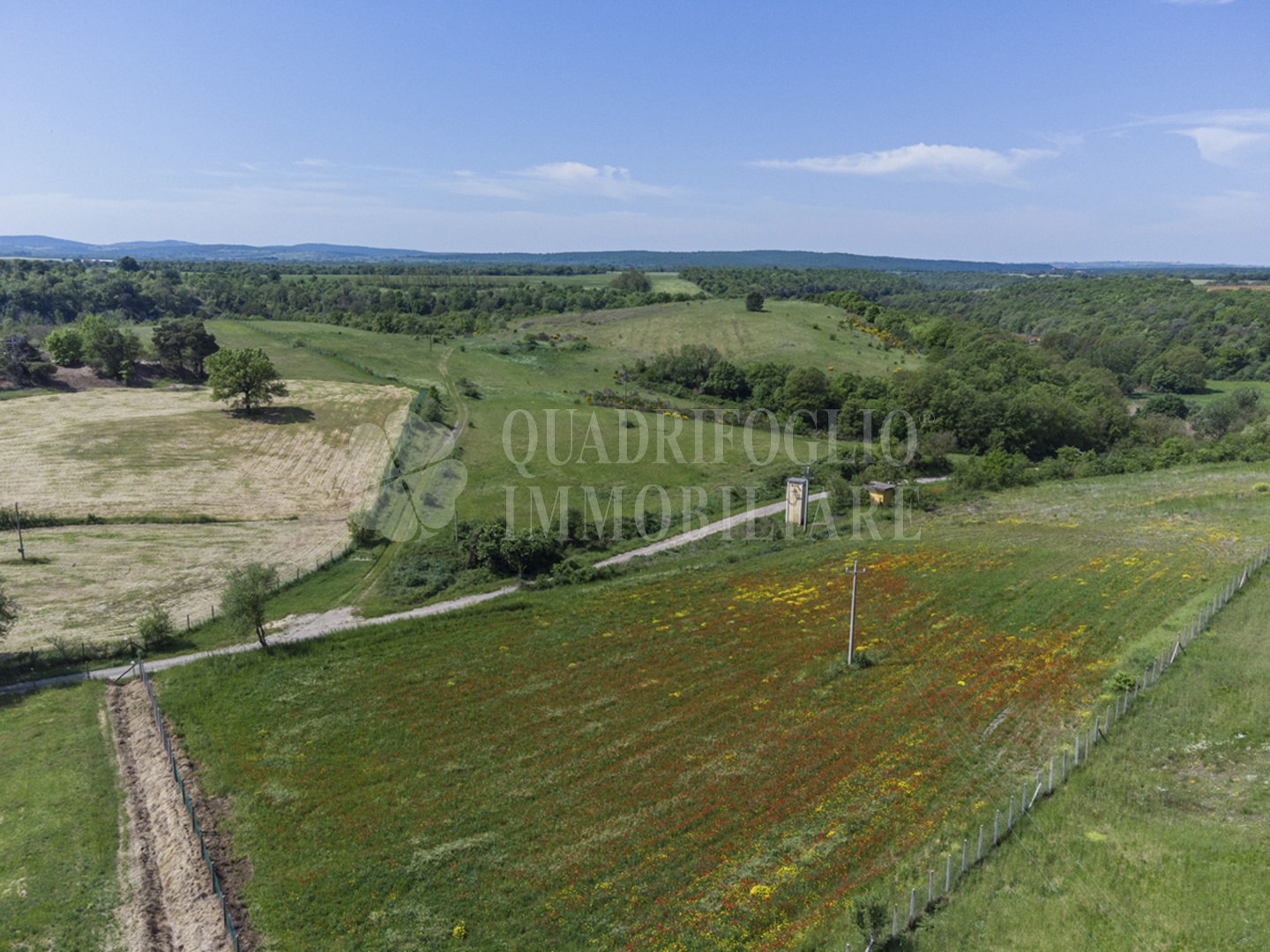 FOTO SITO – Viterbo – terreno GIOVE srl VIT05-28jJ Viterbo, Strada Provinciale Vetrallese
