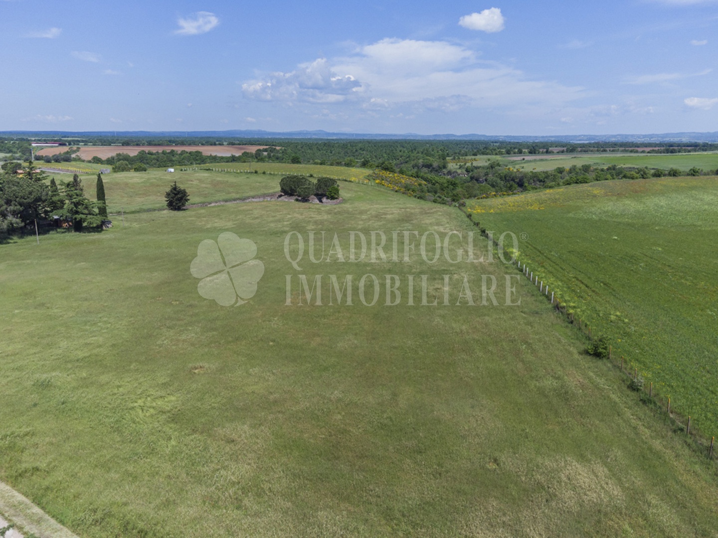 FOTO SITO – Viterbo – terreno GIOVE srl VIT11-28jJ Viterbo, Strada Provinciale Vetrallese