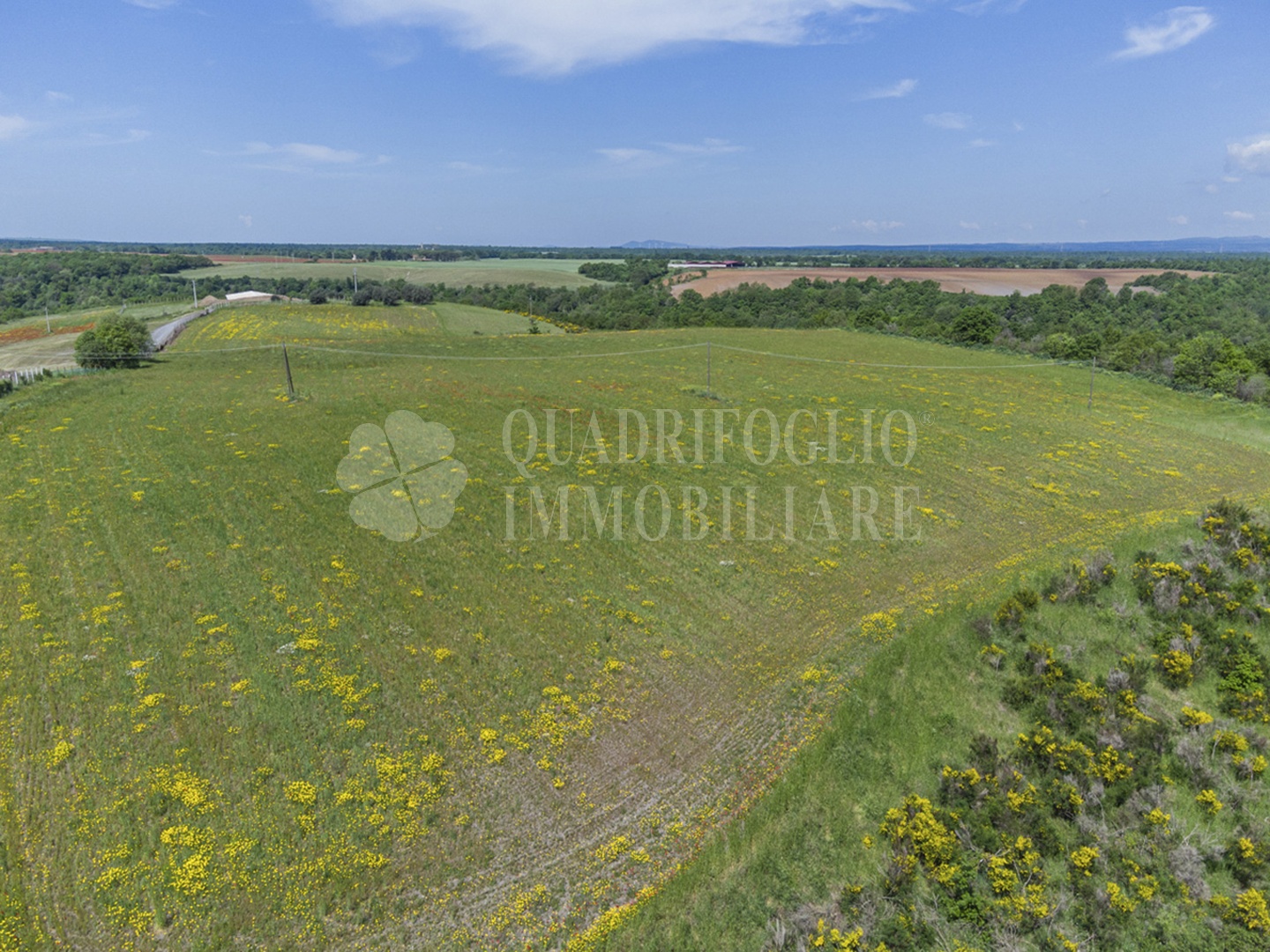 FOTO SITO – Viterbo – terreno GIOVE srl VIT12-28jJ Viterbo, Strada Provinciale Vetrallese
