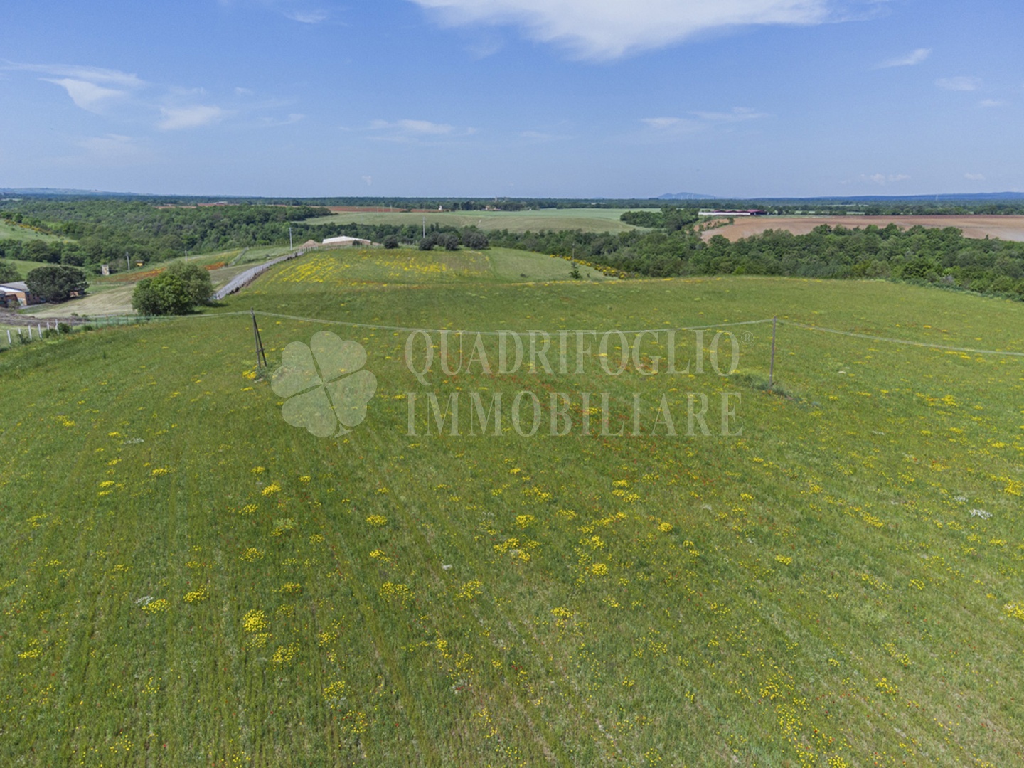 FOTO SITO – Viterbo – terreno GIOVE srl VIT13-28jJ Viterbo, Strada Provinciale Vetrallese