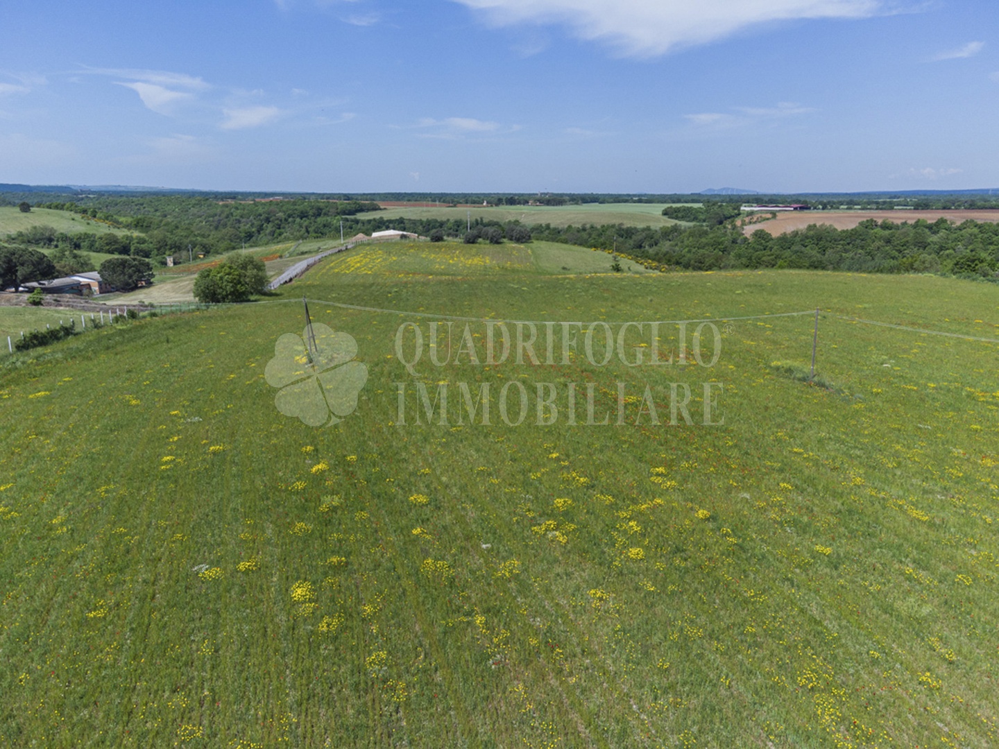 FOTO SITO – Viterbo – terreno GIOVE srl VIT14-28jJ Viterbo, Strada Provinciale Vetrallese