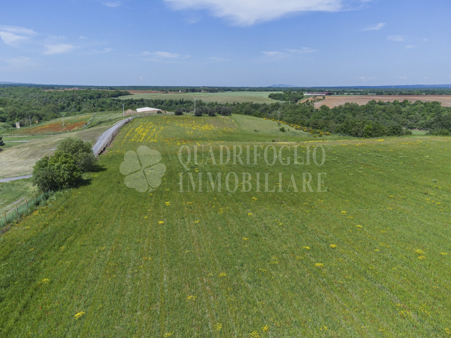 FOTO SITO – Viterbo – terreno GIOVE srl VIT15-28jJ Viterbo, Strada Provinciale Vetrallese