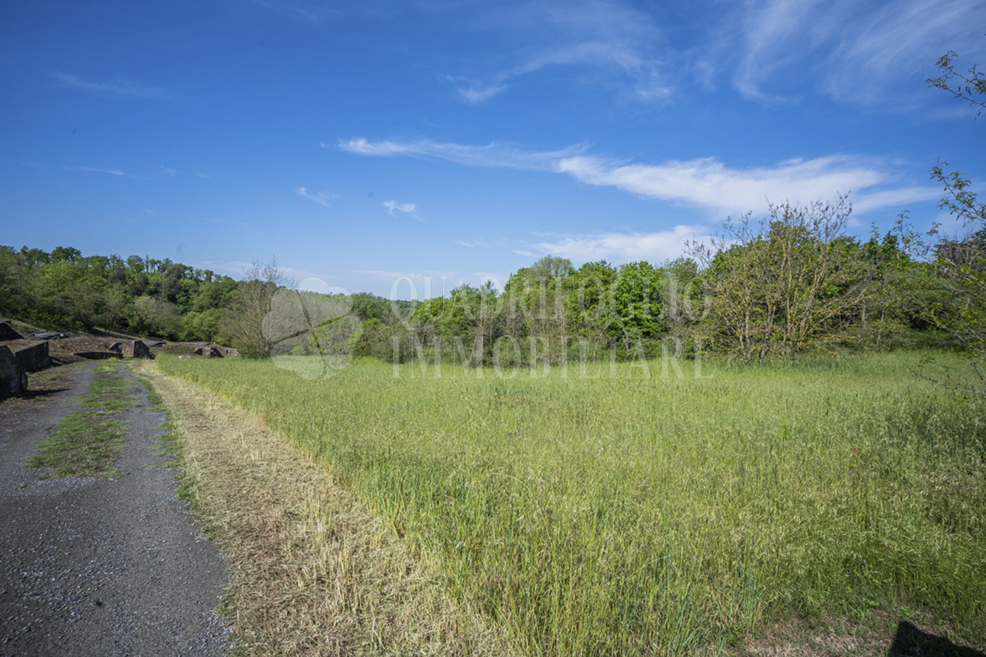 FOTO SITO – Viterbo – terreno GIOVE srl VIT21-28jJ Viterbo, Strada Provinciale Vetrallese