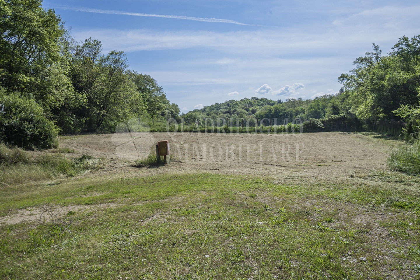 FOTO SITO – Viterbo – terreno GIOVE srl VIT23-28jJ Viterbo, Strada Provinciale Vetrallese