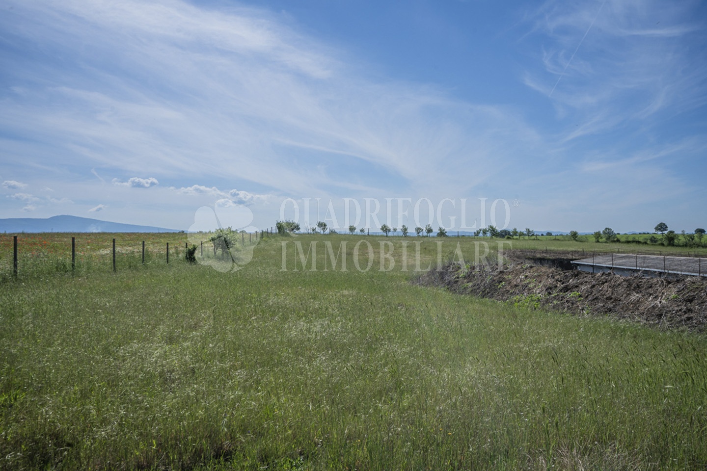 FOTO SITO – Viterbo – terreno GIOVE srl VIT24-28jJ Viterbo, Strada Provinciale Vetrallese