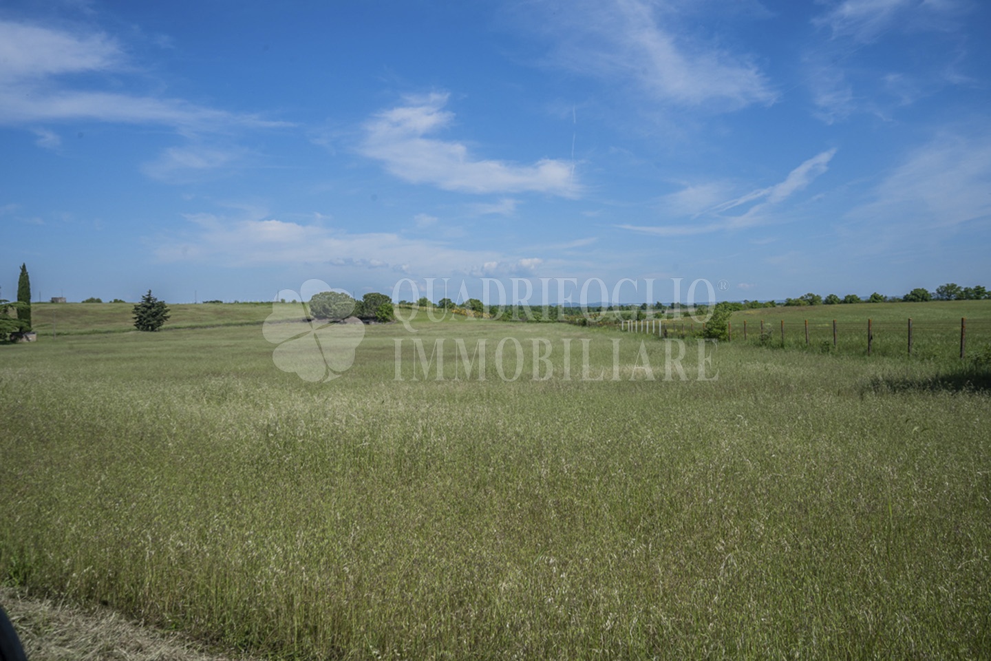 FOTO SITO – Viterbo – terreno GIOVE srl VIT25-28jJ Viterbo, Strada Provinciale Vetrallese