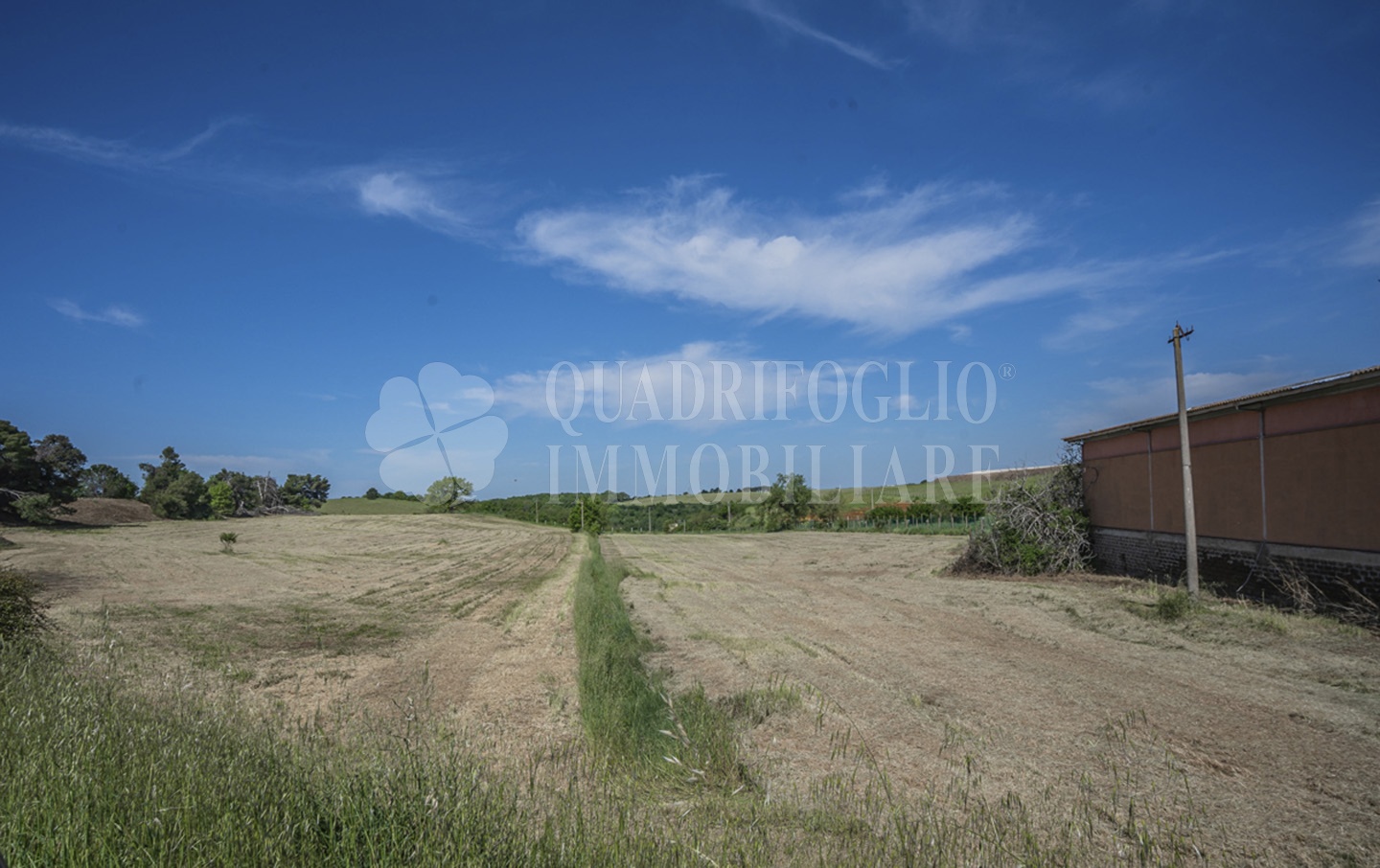 FOTO SITO – Viterbo – terreno GIOVE srl VIT26-28jJ Viterbo, Strada Provinciale Vetrallese