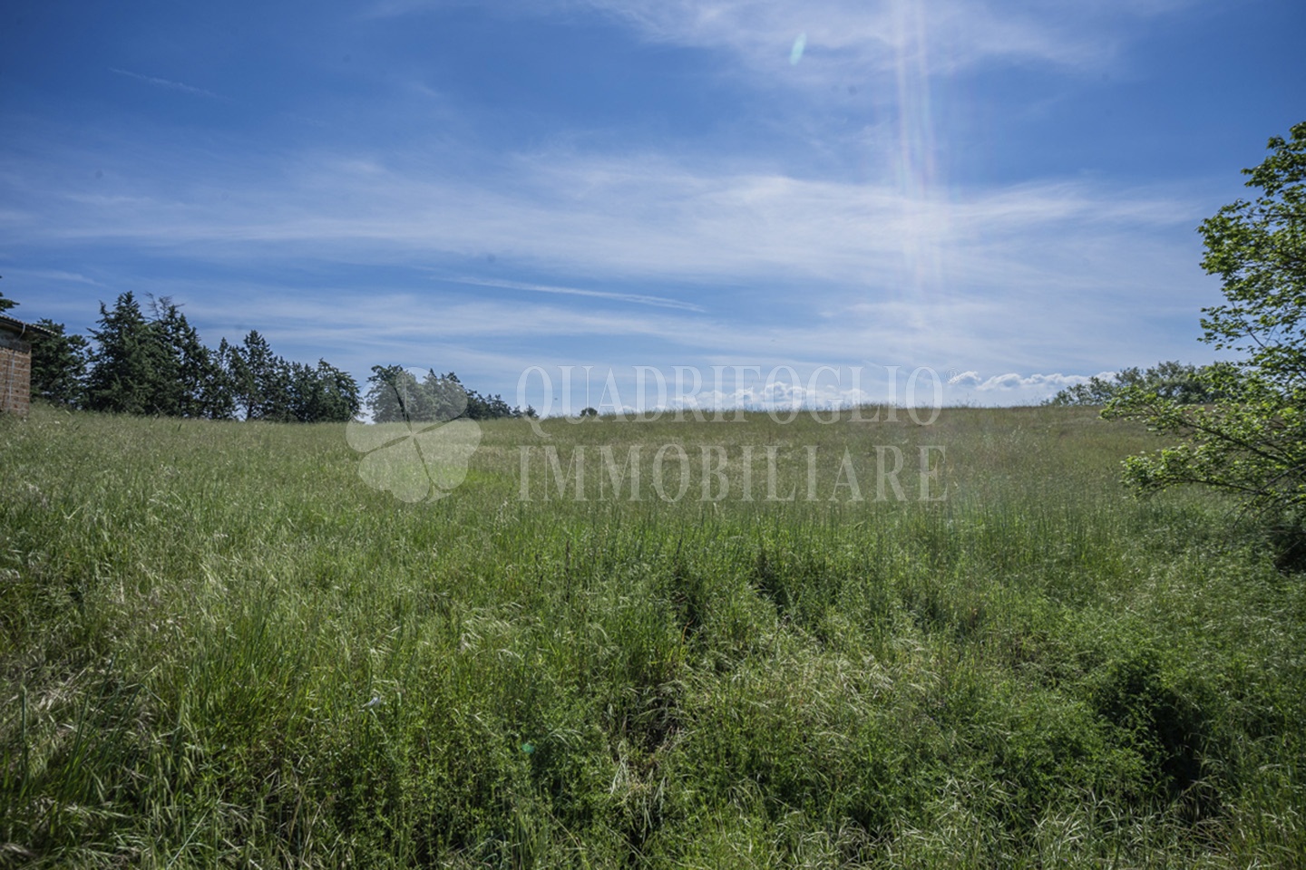 FOTO SITO – Viterbo – terreno GIOVE srl VIT27-28jJ Viterbo, Strada Provinciale Vetrallese