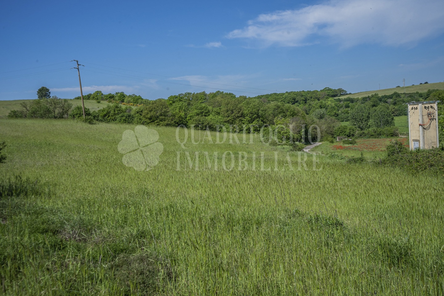 FOTO SITO – Viterbo – terreno GIOVE srl VIT28-28jJ Viterbo, Strada Provinciale Vetrallese