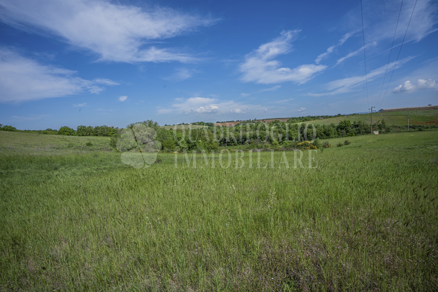 FOTO SITO – Viterbo – terreno GIOVE srl VIT29-28jJ Viterbo, Strada Provinciale Vetrallese