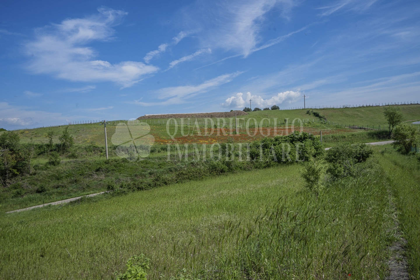 FOTO SITO – Viterbo – terreno GIOVE srl VIT30-28jJ Viterbo, Strada Provinciale Vetrallese