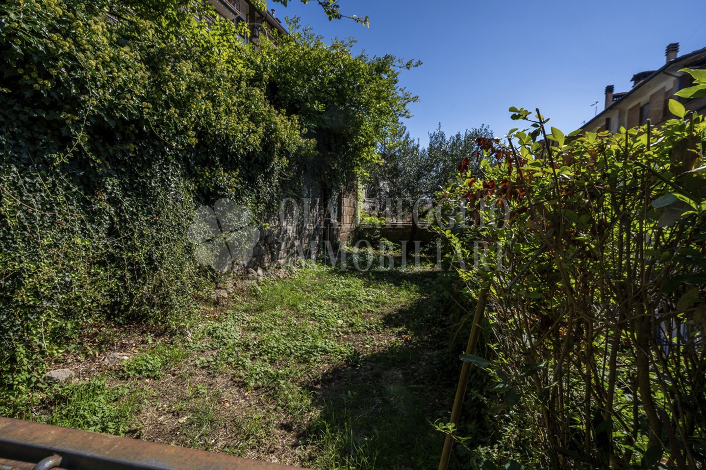 canepina, via viterbo – Piera Ciula VIT17-6lTo Canepina, Semi Centro – Via Viterbo