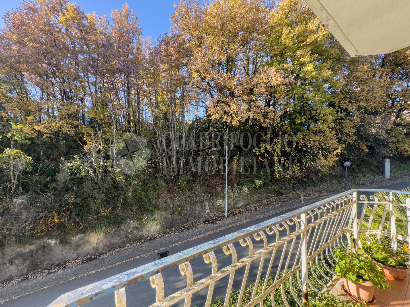 canepina, via matteotti – foto sito VIT25-GPbI Canepina, semi centro – Viale Giacomo Matteotti
