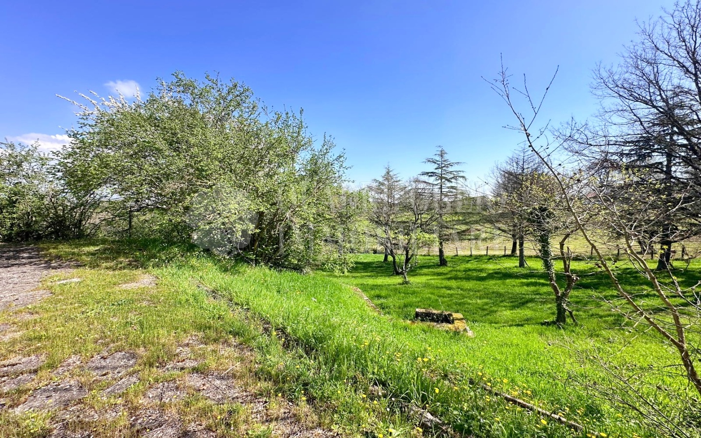 Via dei M.A 1 PIG26-Z3qd Viterbo, Bassano Romano – Strada Vicinale Monte Azzoccati
