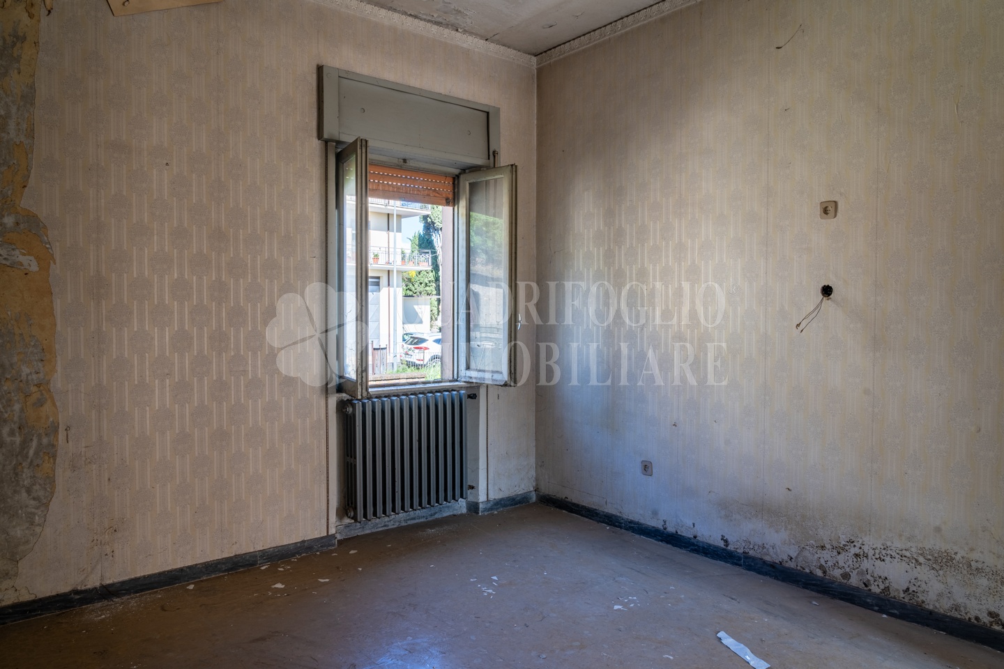 Canepina, Zona Centrale – Via Viterbo