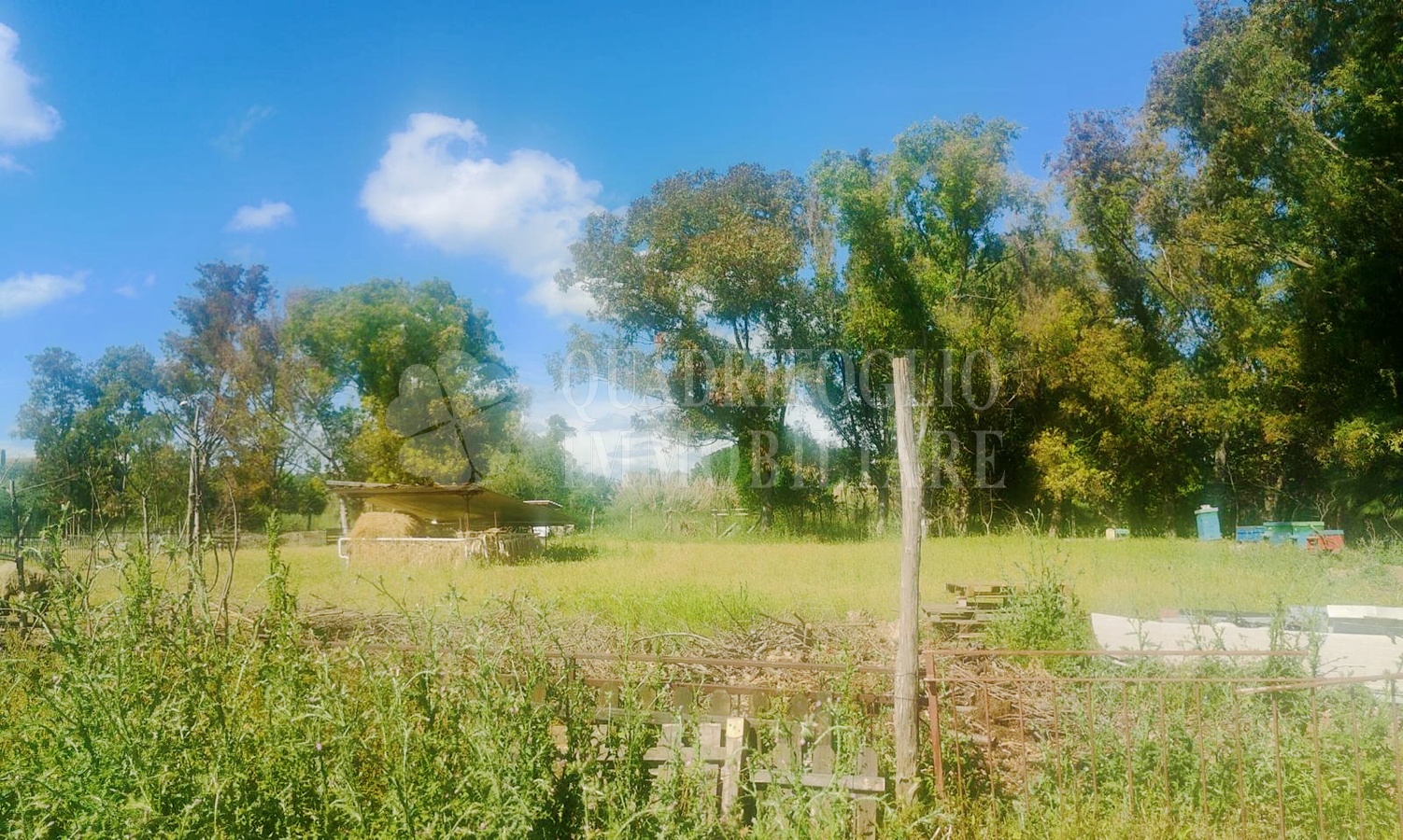 Roma, Casal Palocco – Via Critolao