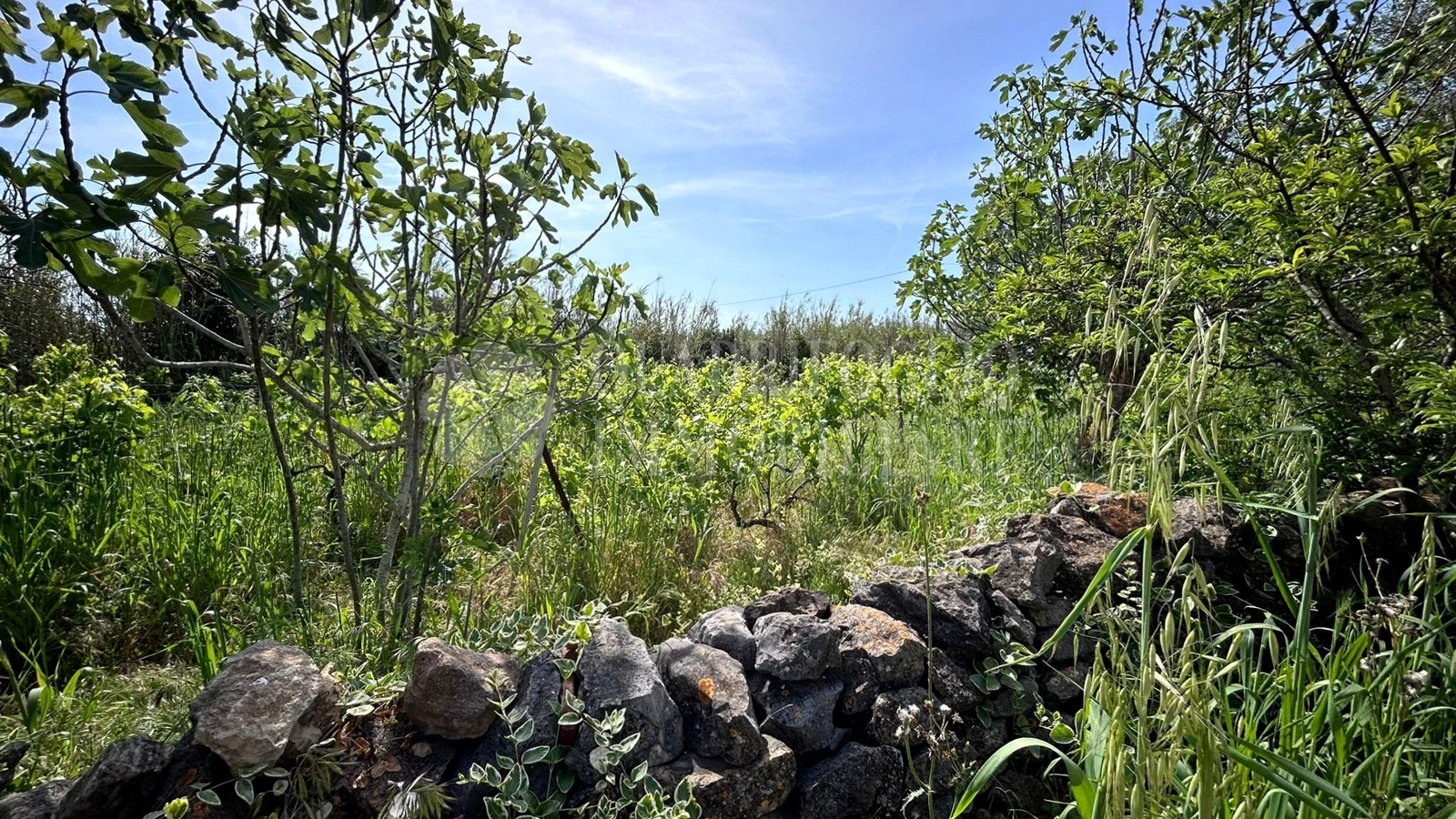 Sassari, Campanedda- Via Monte Casteddu