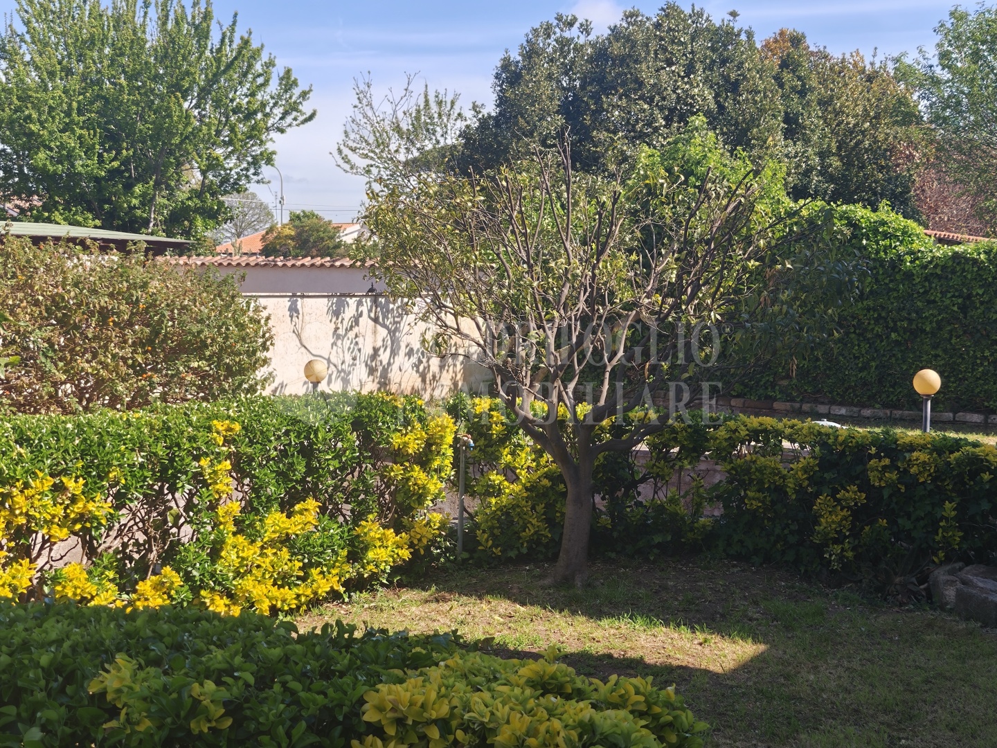 SFORZA CR08-kFNv Ardea, Colle Romito – Via del Capricorno