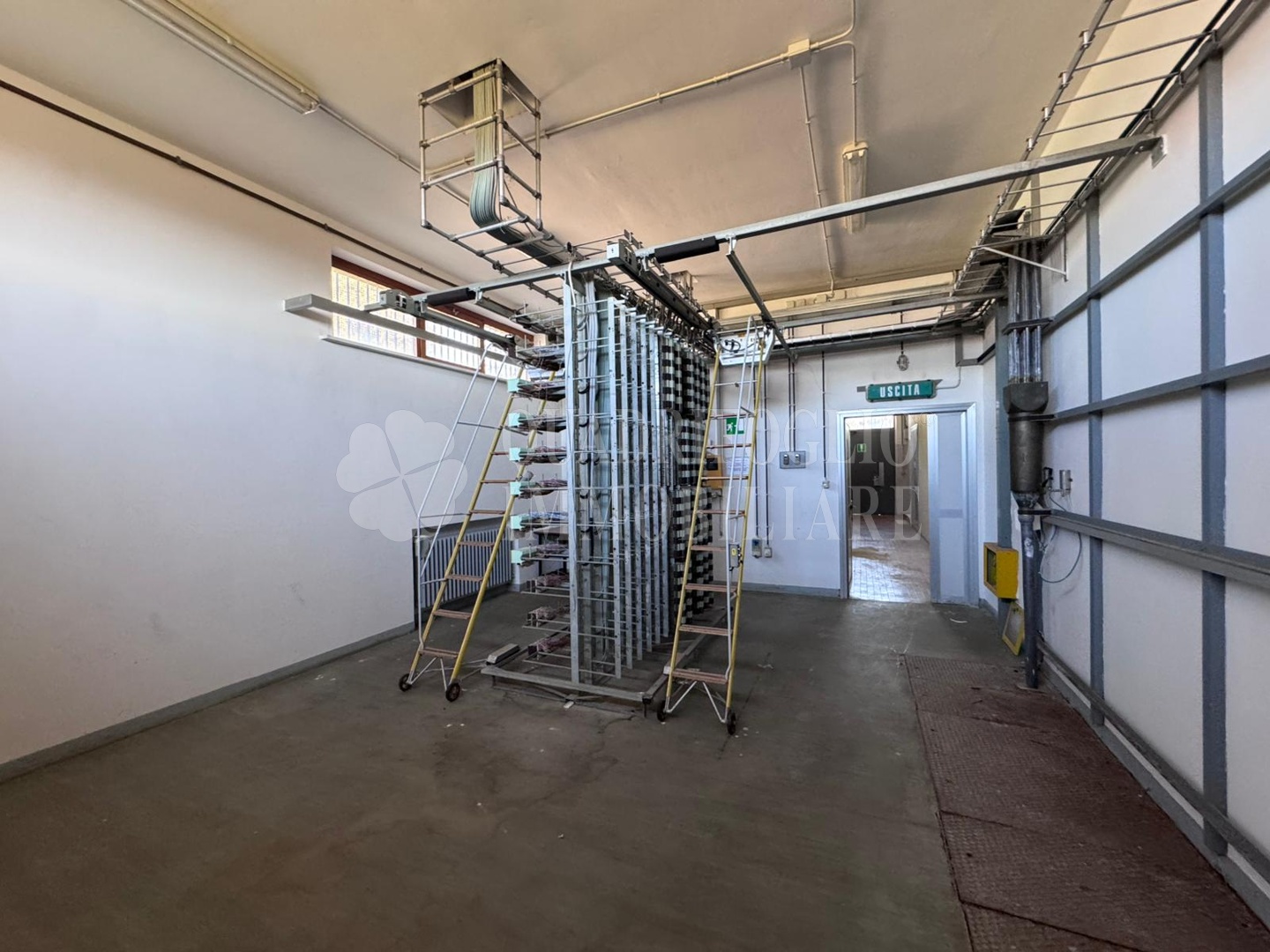 Montalto fibercop VIT03-c5Go Montalto di Castro – Via delle Spugne