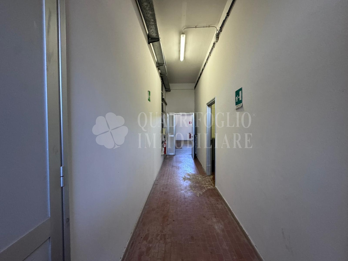 Montalto fibercop VIT10-c5Go Montalto di Castro – Via delle Spugne