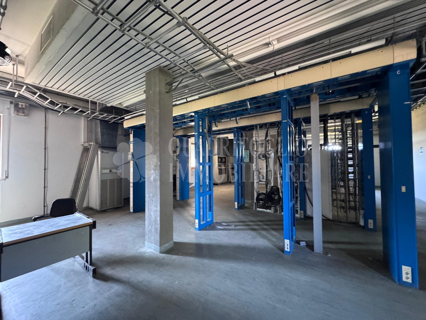 Montalto fibercop VIT11-c5Go Montalto di Castro – Via delle Spugne